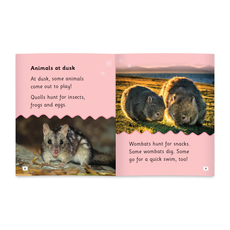 Little Learners, Big World Nonfiction Stages 1-7 Value Packs