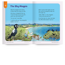 Fluency Fun: Dee the Flea and Other Fun Things to Read