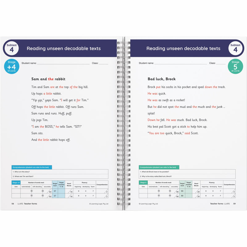 Little Learners Love Literacy Assessment Pack