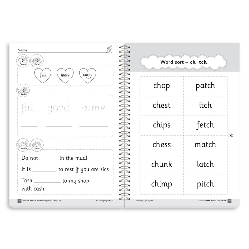 Teacher Activity Resource Stage 6
