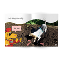 Wild Detectives Stage 2