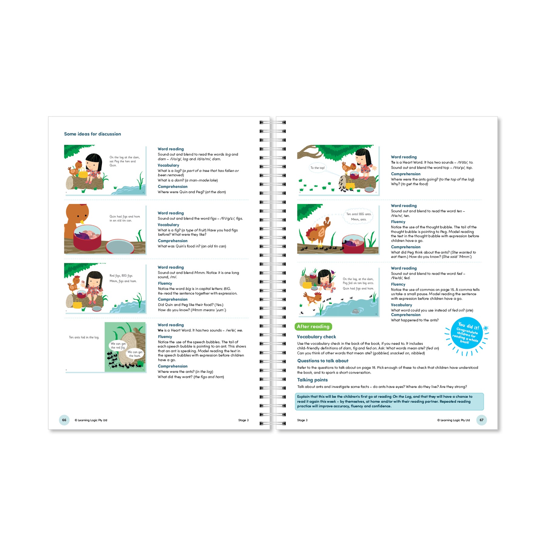The Wiz Kids Small Group Reading Teacher Notes Stages 1-4 Pack (PRINT & DIGITAL)