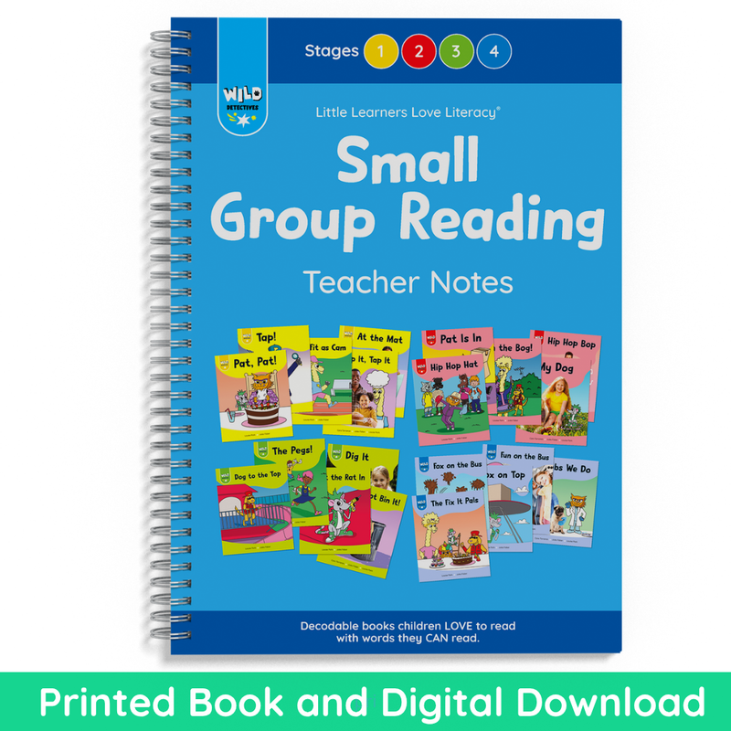 Wild Detectives Small Group Reading Teacher Notes Stages 1-4