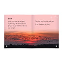 Little Learners, Big World Nonfiction Stages 1-7 Value Packs