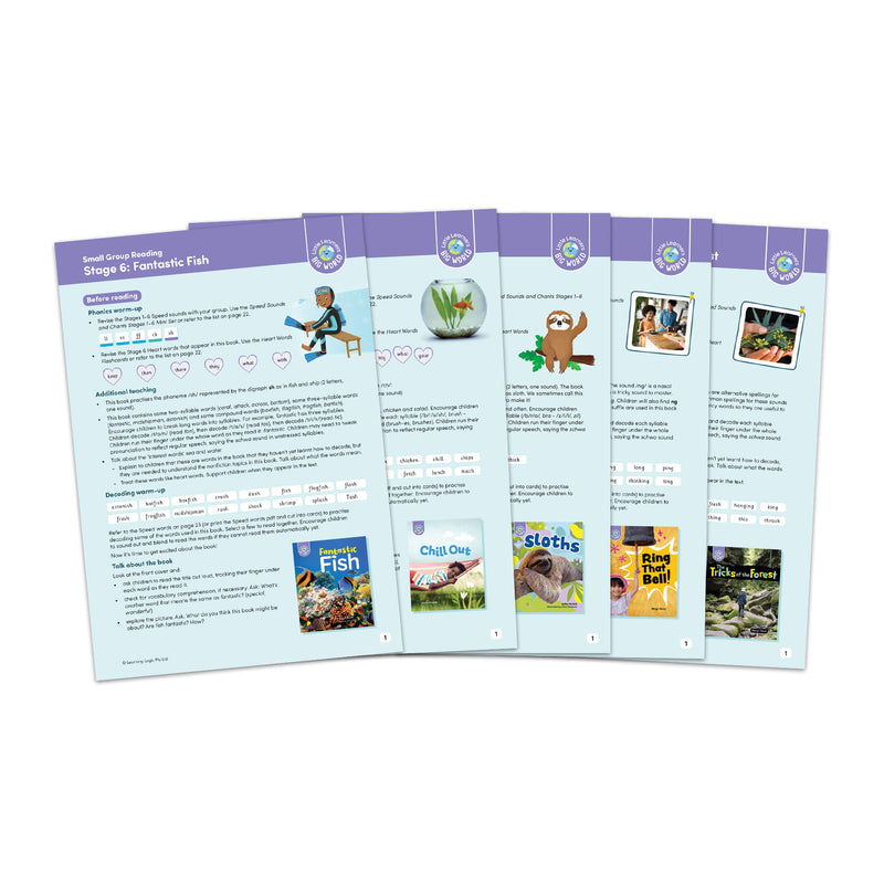Stages 1-6 Nonfiction Small Group Reading Notes Pack