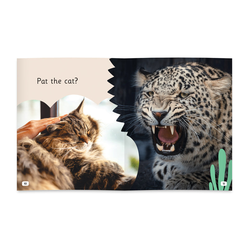 Little Learners, Big World Nonfiction Stages 1-7 Value Packs