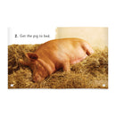 Little Learners, Big World Nonfiction Stages 1-7 Value Packs