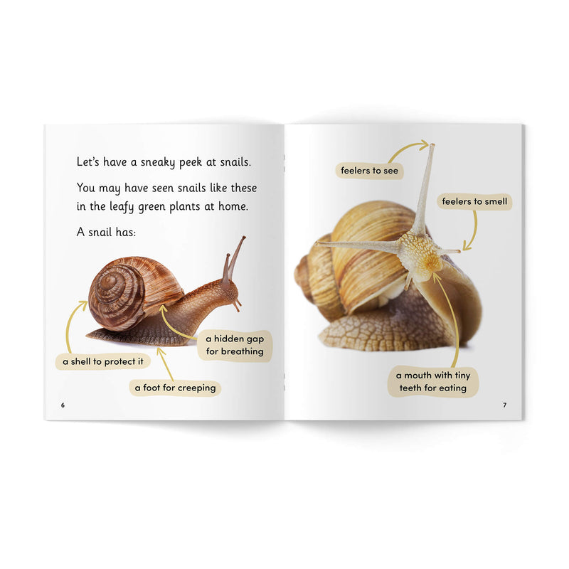 Little Learners, Big World Nonfiction Stages 1-7 Value Packs