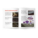 Little Learners, Big World Nonfiction Stages 1-7 Value Packs