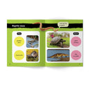 Little Learners, Big World Nonfiction Stages 1-7 Value Packs