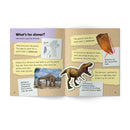 Little Learners, Big World Nonfiction Stages 1-7 Value Packs