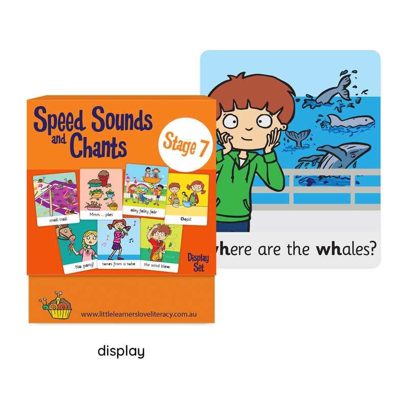 Speed Sounds and Chants Cards Stage 7 Display Set
